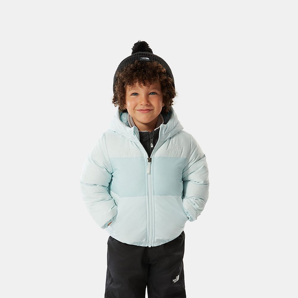 The North Face Jackets Toddler Australia - The North Face Toddler Moondoggy Blue (PYE-403728)